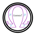 Omega Tunnel icon