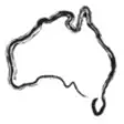 Icon of program: Snakes of Australia