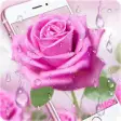 Icon of program: Pink Rose & Dew Live Wall…