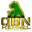 Icon of program: QBN App