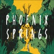 Phoenix Springs icon