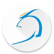 Icon of program: Pristina International Ai…