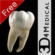 Icon of program: Dental Patient Education …