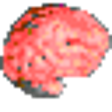 Icon of program: BrainTraineR