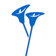 Icon of program: Obituary Application