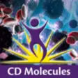 Icon of program: BioLegend CD Posters
