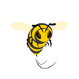 Icon of program: SpeedyBee