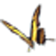 JX Ovulation Calendar icon