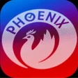 Icon of program: دجاج الڤينيكس