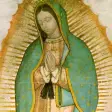 Icon of program: La Virgen de Guadalupe - …