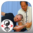 Icon of program: Tai Chi Martial Applicati…