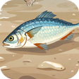 Fish Match-3 Tough Challenge icon