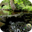 Icon of program: Rivers Video Live Wallpap…