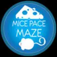 Icon of program: MicePaceMaze