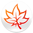 Icon of program: MindMaple Pro