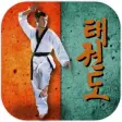 Icon of program: Taekwondo Pro