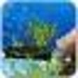 Icon of program: Aquarium live