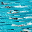 Icon of program: Swimming Coach's Clipboar…