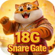 Icon of program: 18G Snare Gate