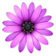 Icon of program: TextMate