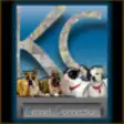 Icon of program: Kennel Connection