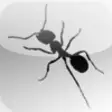 Icon of program: Ant Feeder