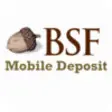 Icon of program: BSF Deposit