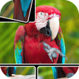 Icon of program: JigPic World Journey