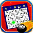 Icon of program: Mountain Bingo Game