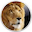 Icon of program: MacLion