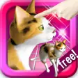Icon of program: 3-Color Petting Cat! More…