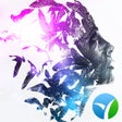 Icon of program: Ephoto 360 - Photo Effect…