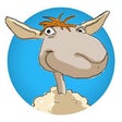 Icono de programa: Body2Brain