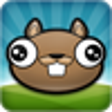 Icon of program: Noogra Nuts