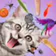 Icon of program: Cat Games Super Collectio…
