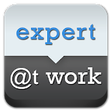 Expert at Work icon