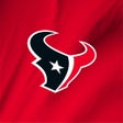 Icon of program: Houston Texans