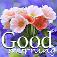 Good Morning Noon Evening Night everyday wishes icon