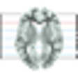 Icon of program: Cerebral Imprint