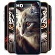 Icon of program: Cat Wallpapers