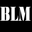 Icon of program: Black Lives Matter (BLM)
