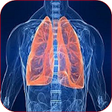 Icono de programa: Breath Sounds (Lungs Soun…