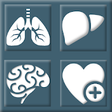 Icon of program: Critical Care Calculator
