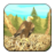 Icono de programa: Wild Eagle Sim 3D
