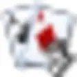 Icon of program: Ace Roller Texas Hold'Em