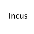 Icon of program: Incus