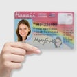 Icon of program: Hawaii Driver License