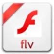 Icon of program: Dimo FLV Video Converter