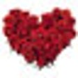 Icon of program: Roses Live Wallpaper