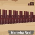 Icon of program: Marimba Real